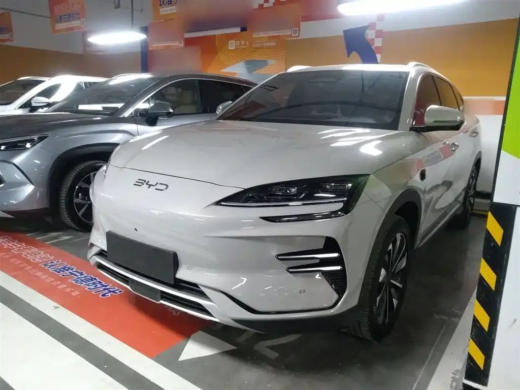BYD PLUS New Energy — фото 8