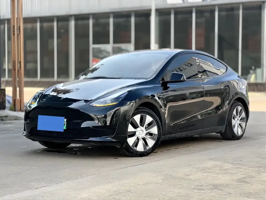 Tesla Model Y — фото 1