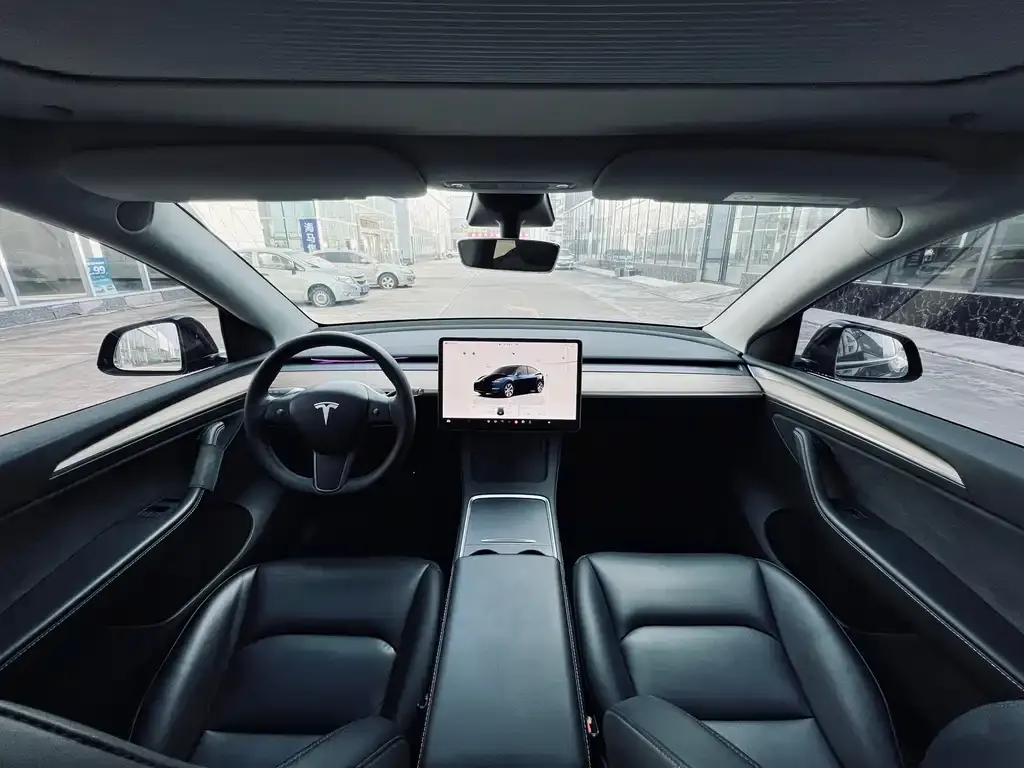 Tesla Model Y — фото 10