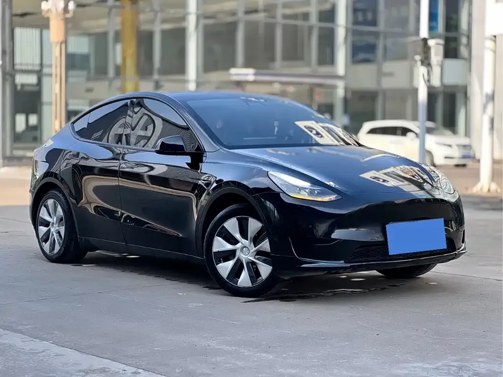 Tesla Model Y — фото 2