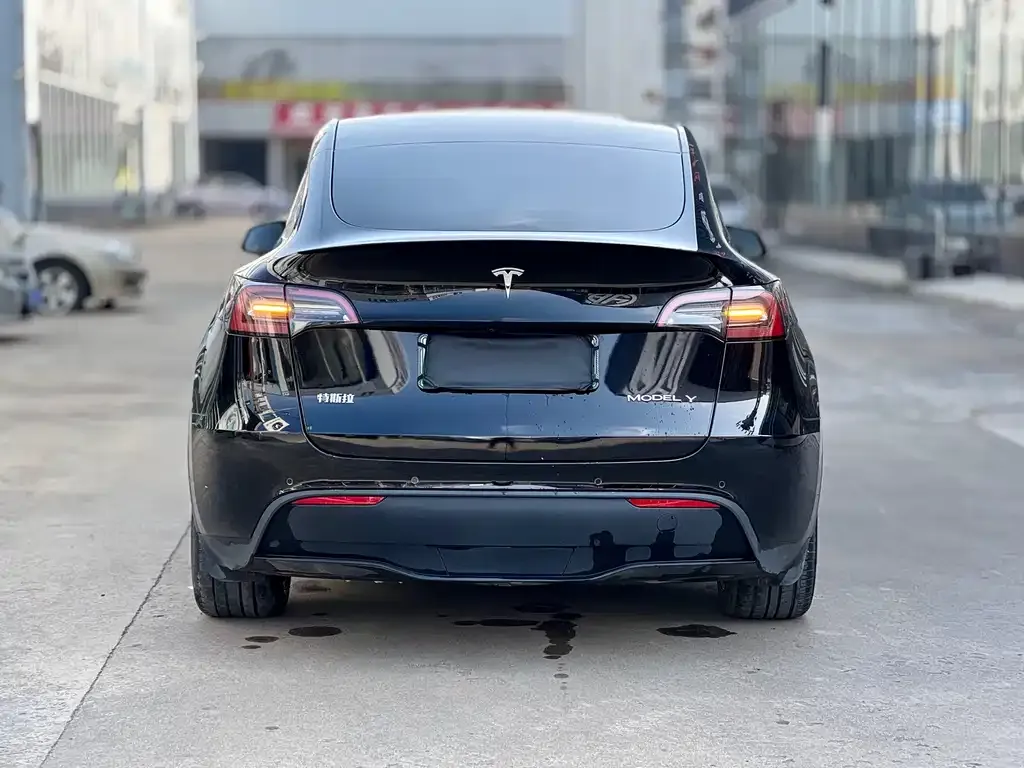 Tesla Model Y — фото 6