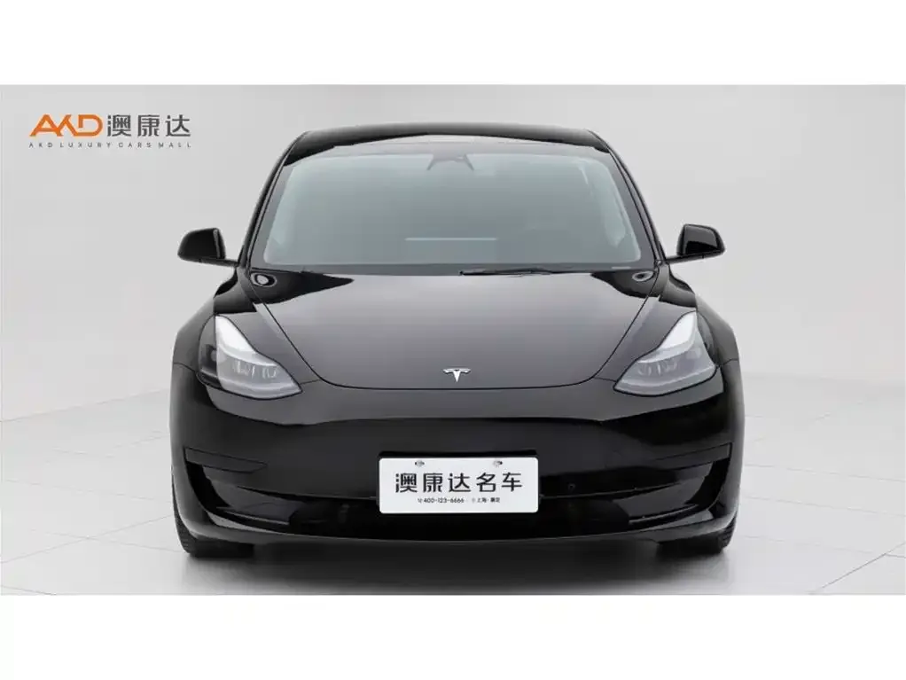 Tesla Model 3 2022 из CN, фото 2