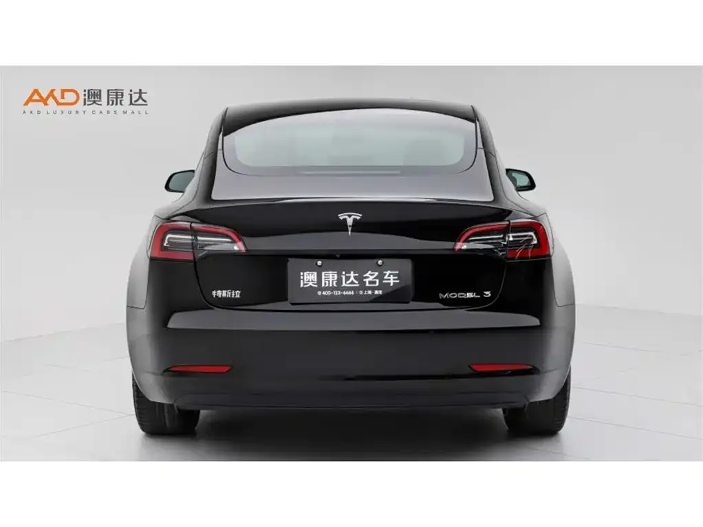 Tesla Model 3 2022 из CN, фото 6