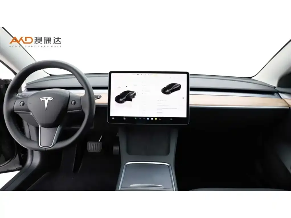 Tesla Model 3 2022 из CN, фото 9