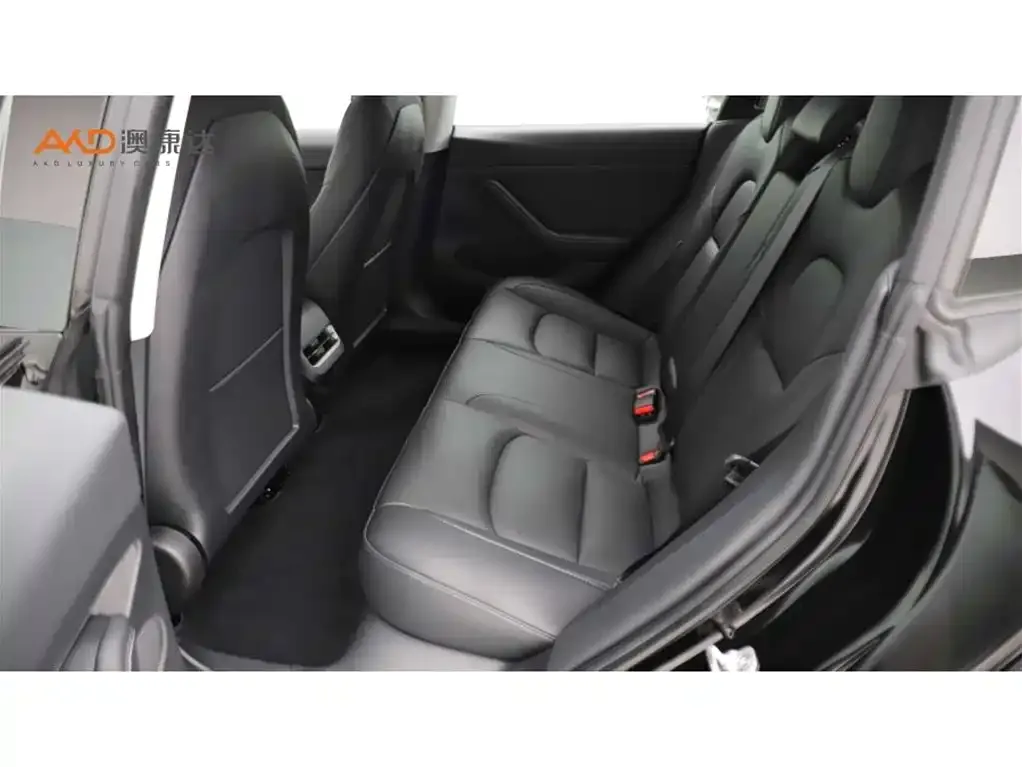 Tesla Model 3 2022 из CN, фото 10