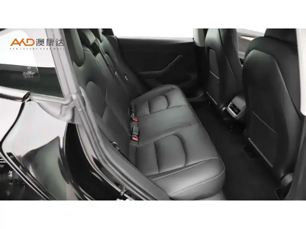 Tesla Model 3 2022 из CN, фото 4
