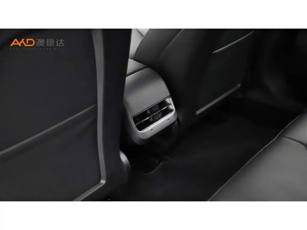 Tesla Model 3 2022 из CN, фото 3