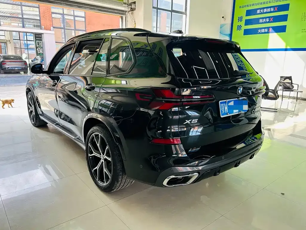 BMW X5 2024 из CN, фото 9