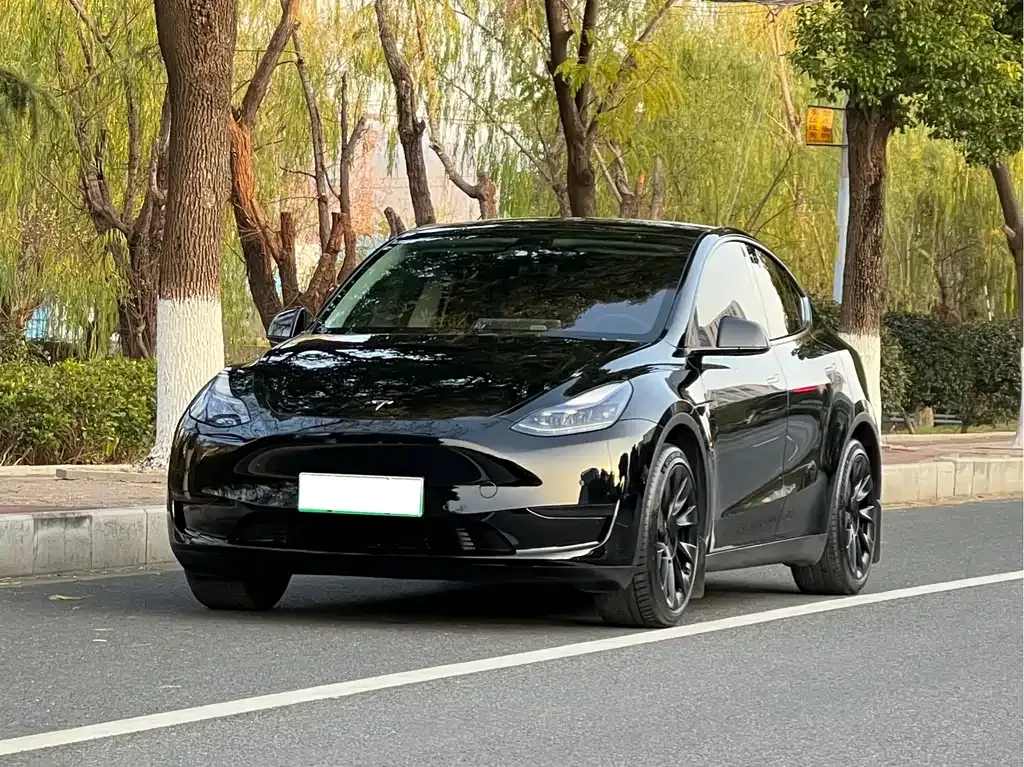 Tesla Model Y — фото 1