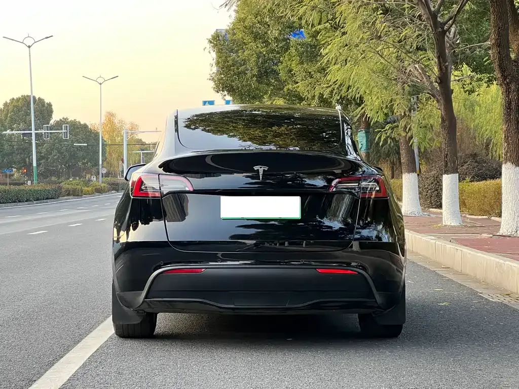 Tesla Model Y — фото 2
