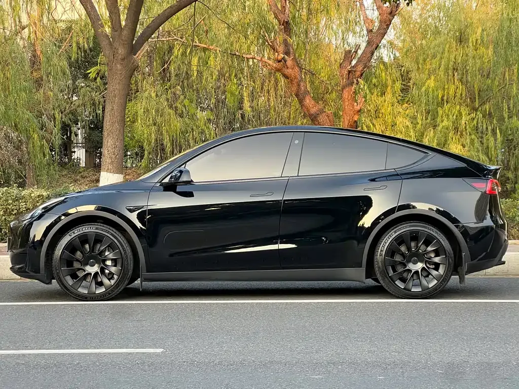 Tesla Model Y — фото 5
