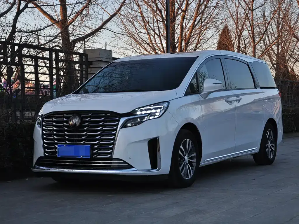 Buick GL8 2024 из CN, фото 1
