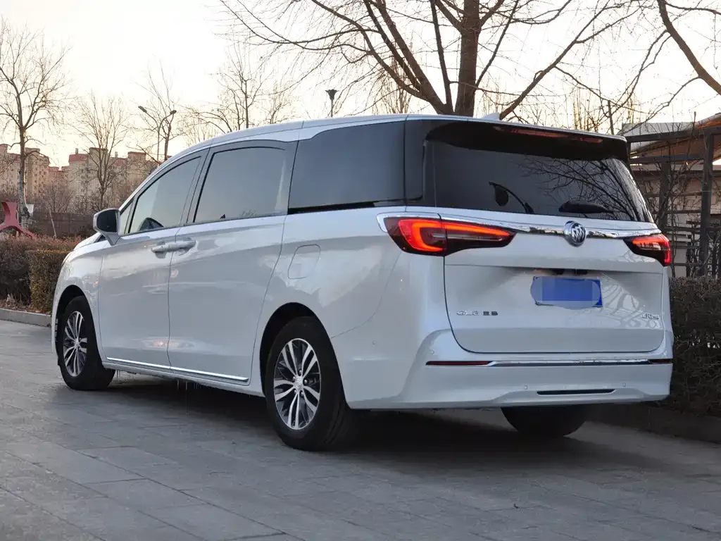 Buick GL8 2024 из CN, фото 9