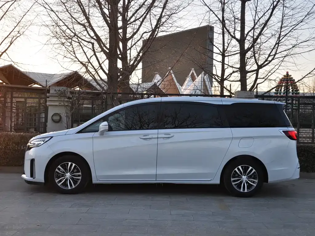 Buick GL8 2024 из CN, фото 5