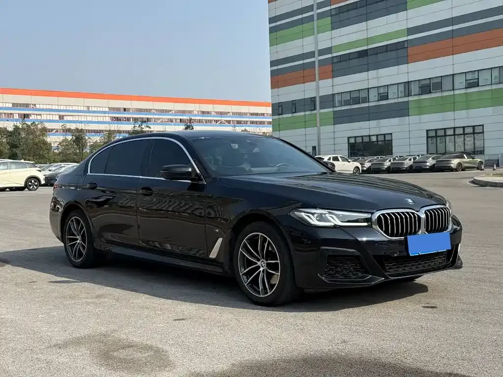 BMW 5 Series 2023 из CN, фото 6