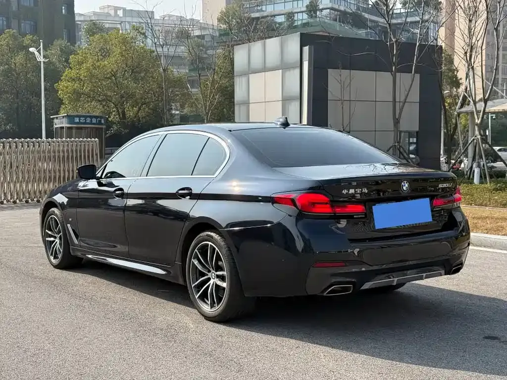 BMW 5 Series 2023 из CN, фото 9