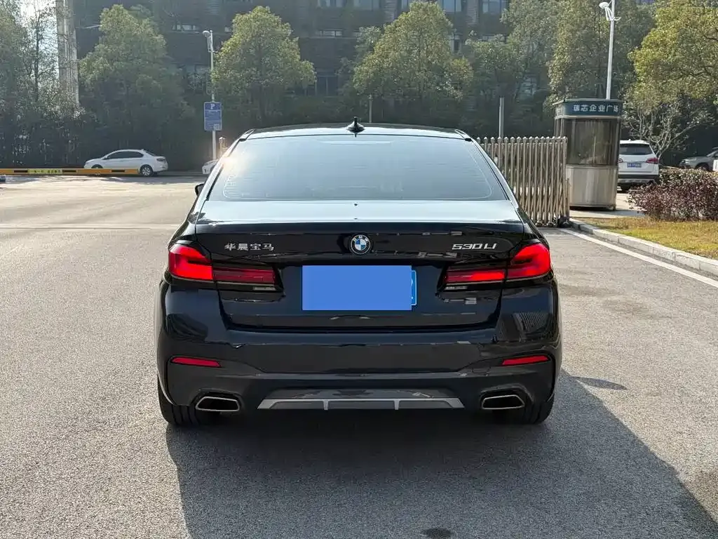 BMW 5 Series 2023 из CN, фото 4