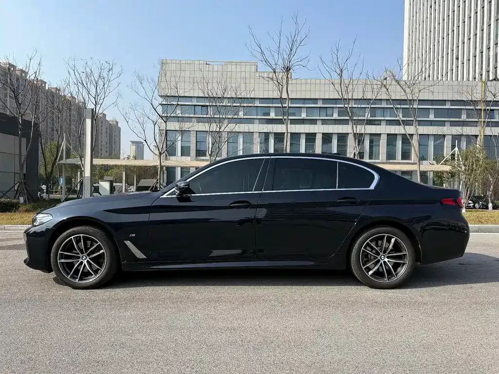 BMW 5 Series 2023 из CN, фото 5