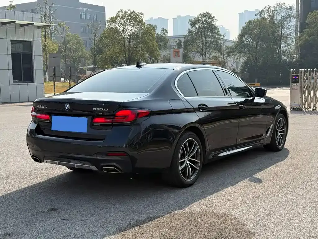 BMW 5 Series 2023 из CN, фото 7