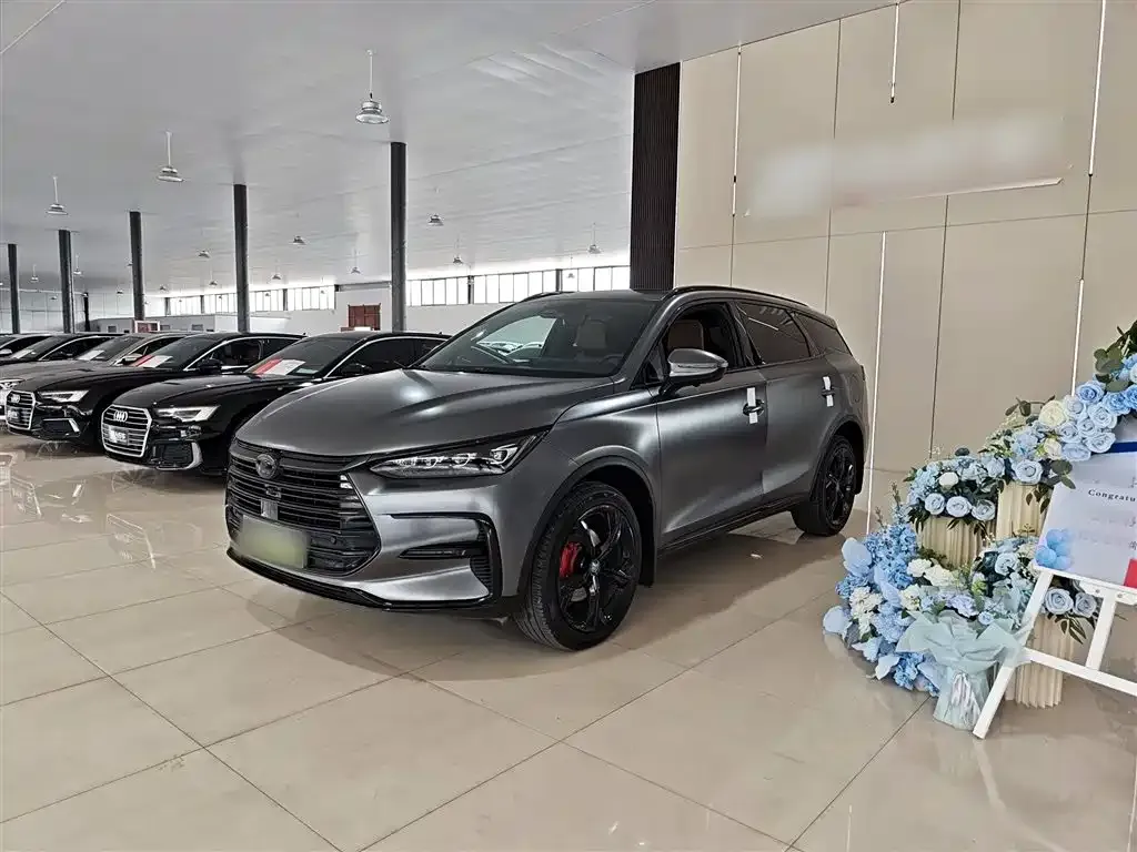 BYD Tang New Energy 2022 из CN, фото 2