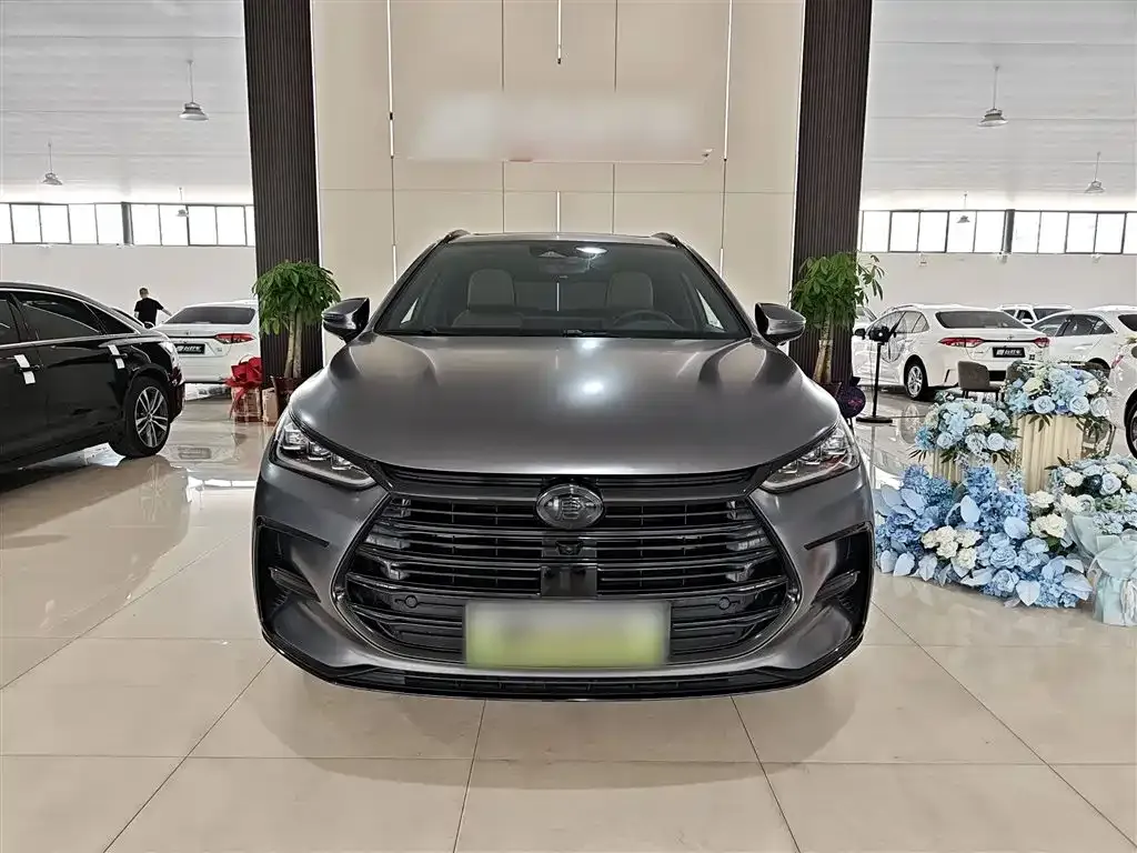 BYD Tang New Energy 2022 из CN, фото 3