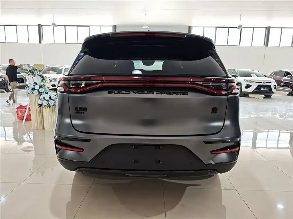 BYD Tang New Energy 2022 из CN, фото 6