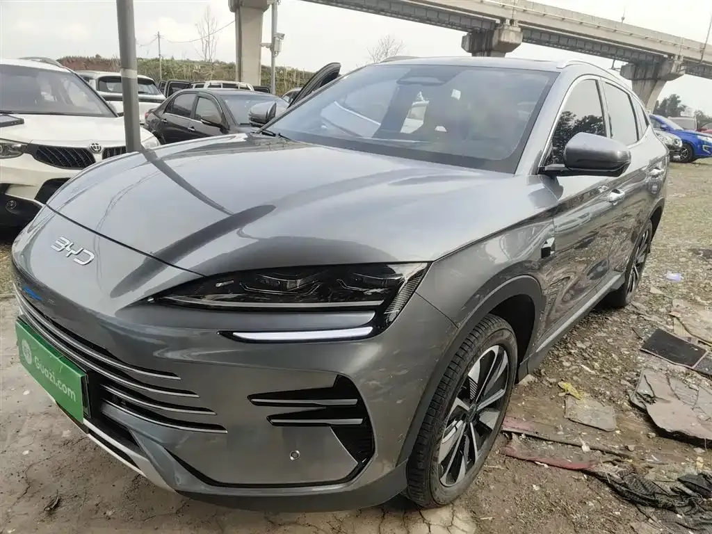 BYD PLUS New Energy 2025 из CN, фото 1