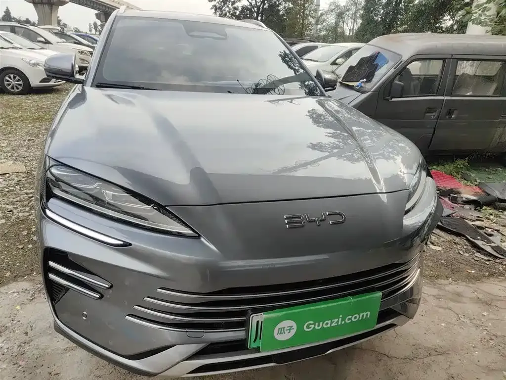 BYD PLUS New Energy 2025 из CN, фото 4