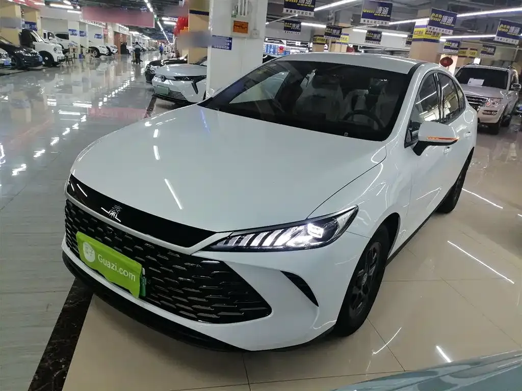 BYD Qin PLUS — фото 1