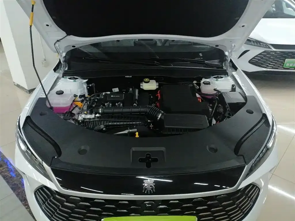 BYD Qin PLUS — фото 10