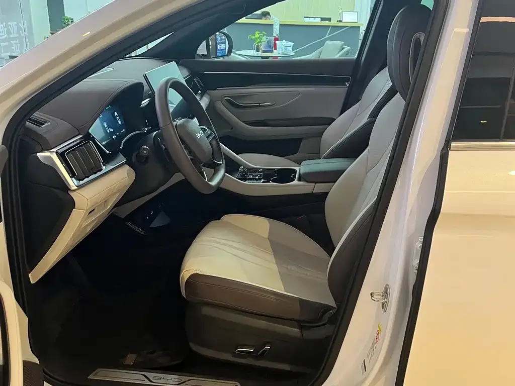 BYD PLUS New Energy — фото 10