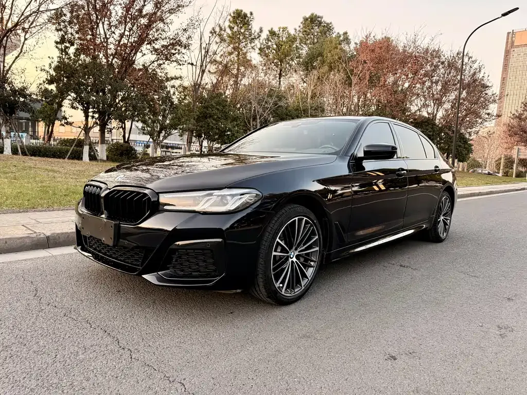 BMW 5 Series 2022 из CN, фото 1