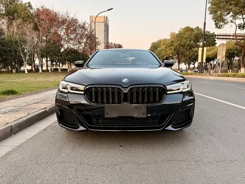 BMW 5 Series 2022 из CN, фото 4