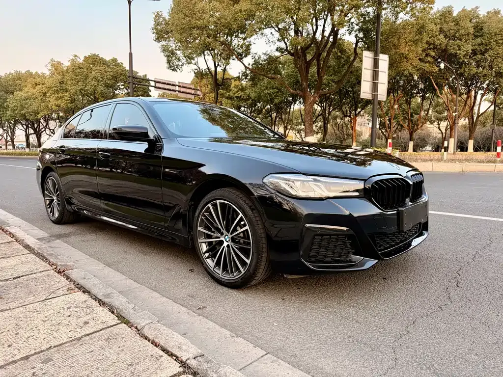 BMW 5 Series 2022 из CN, фото 7