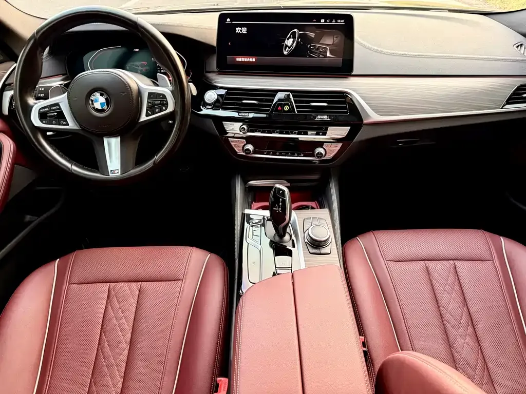 BMW 5 Series 2022 из CN, фото 6