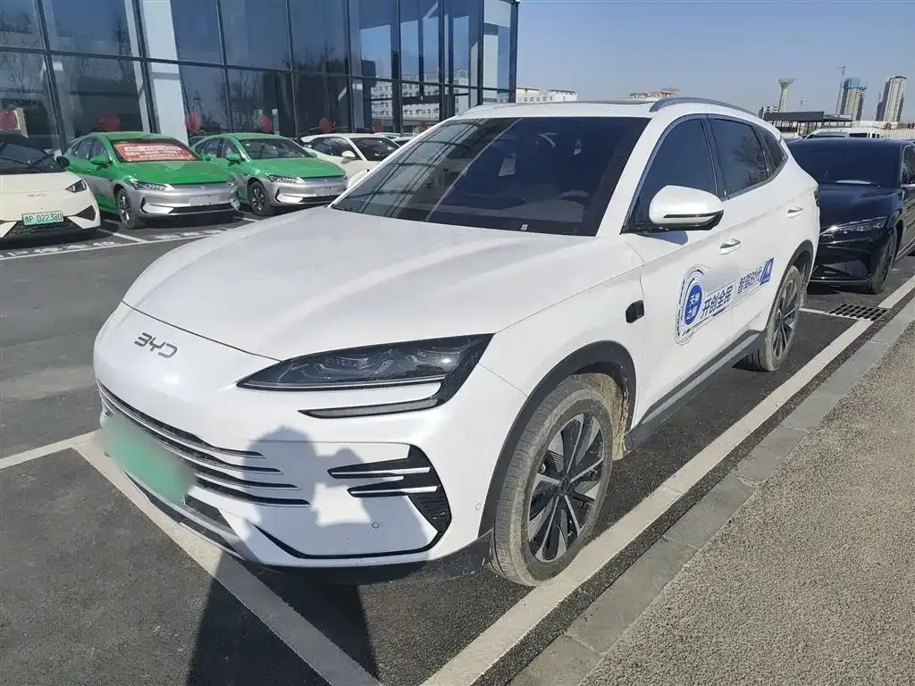 BYD PLUS New Energy 2025 из CN, фото 1