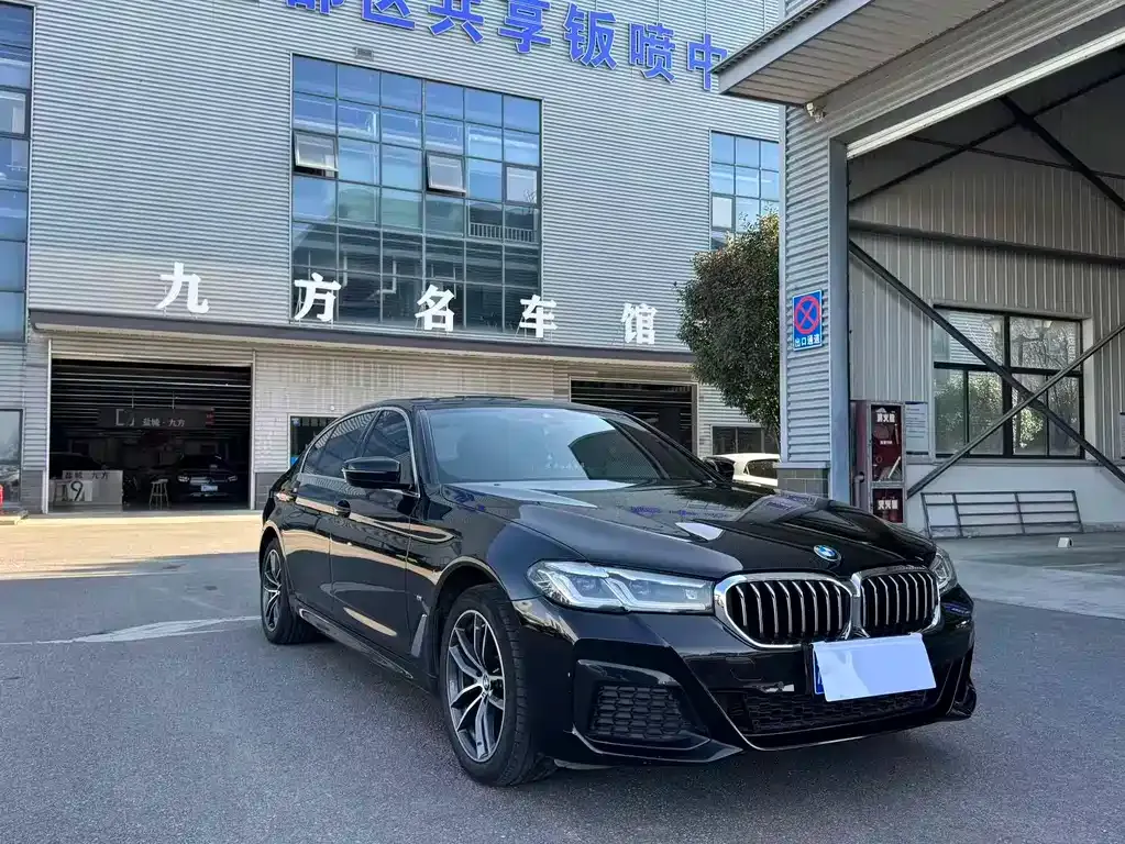 BMW 5 Series 2022 из CN, фото 8