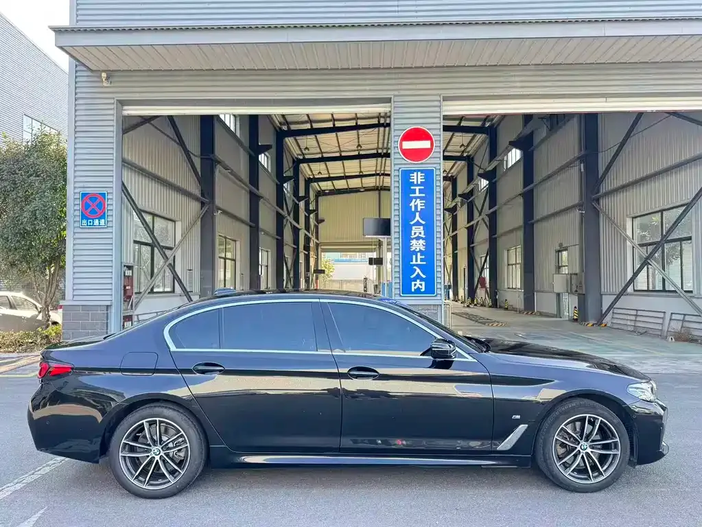 BMW 5 Series 2022 из CN, фото 3