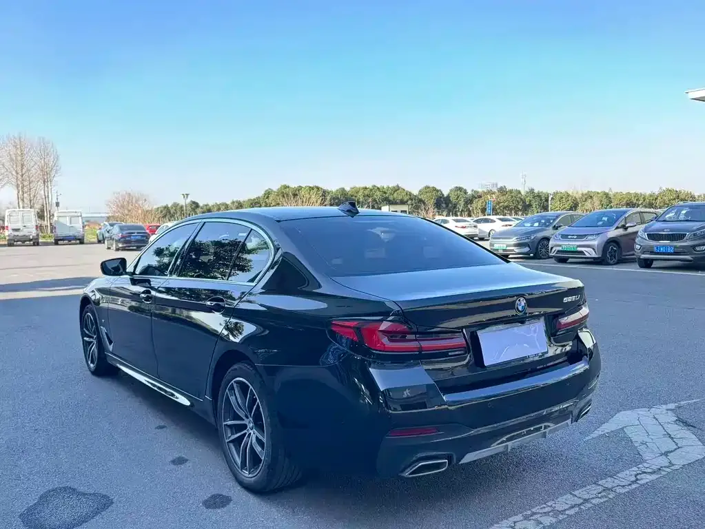 BMW 5 Series 2022 из CN, фото 2