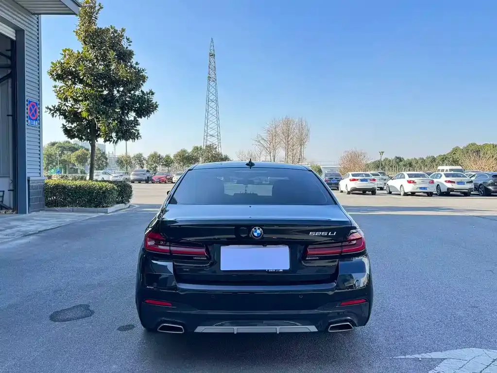 BMW 5 Series 2022 из CN, фото 9