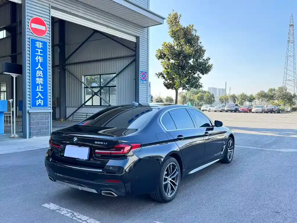 BMW 5 Series 2022 из CN, фото 7