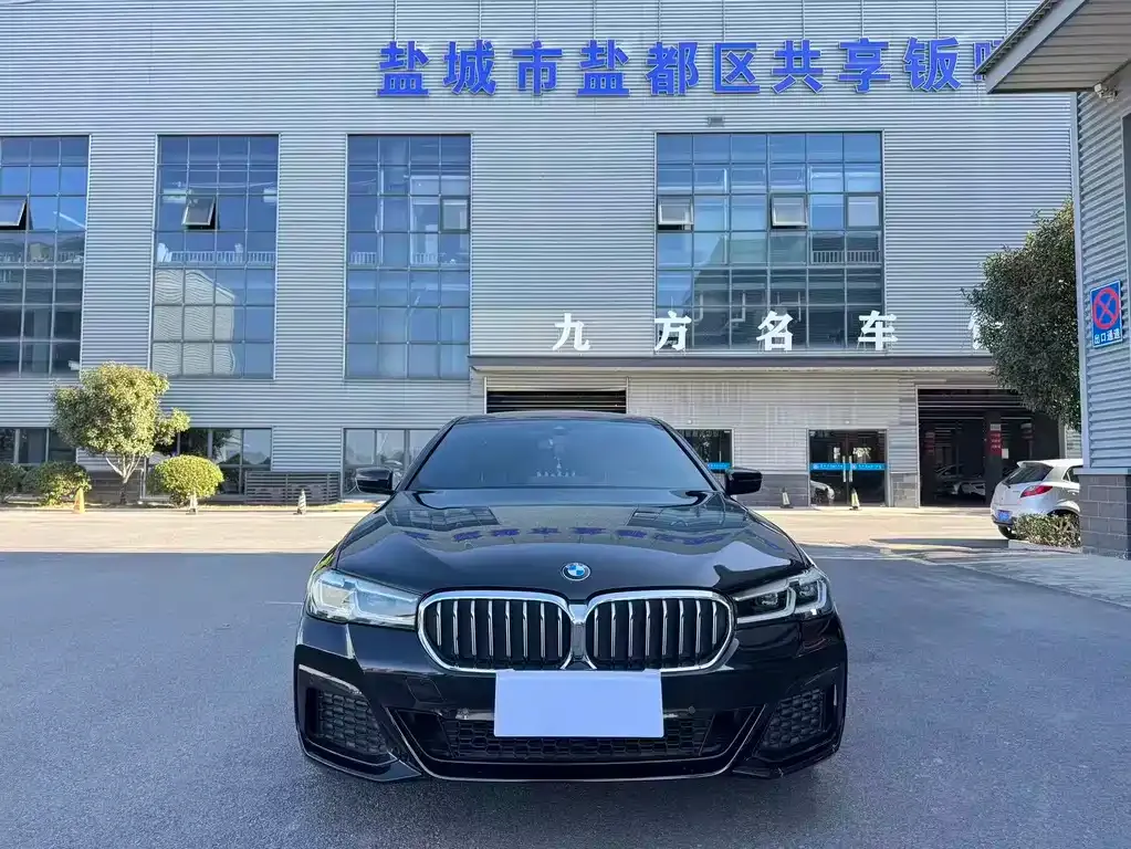 BMW 5 Series 2022 из CN, фото 6