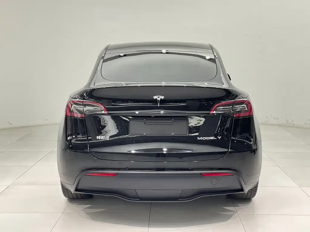 Tesla Model Y — фото 5