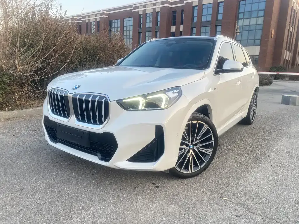 BMW X1 — фото 1