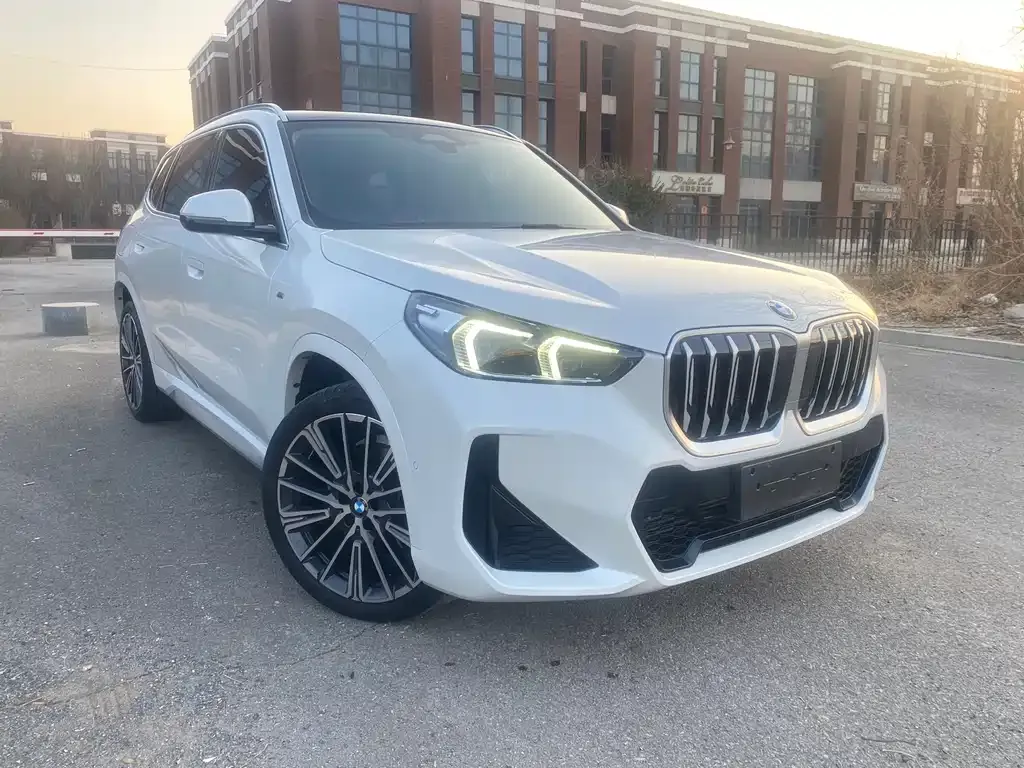 BMW X1 — фото 10