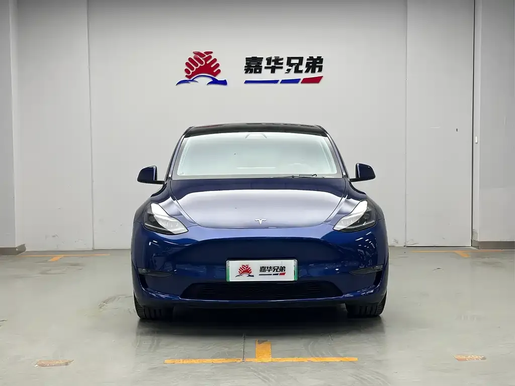 Tesla Model Y — фото 2