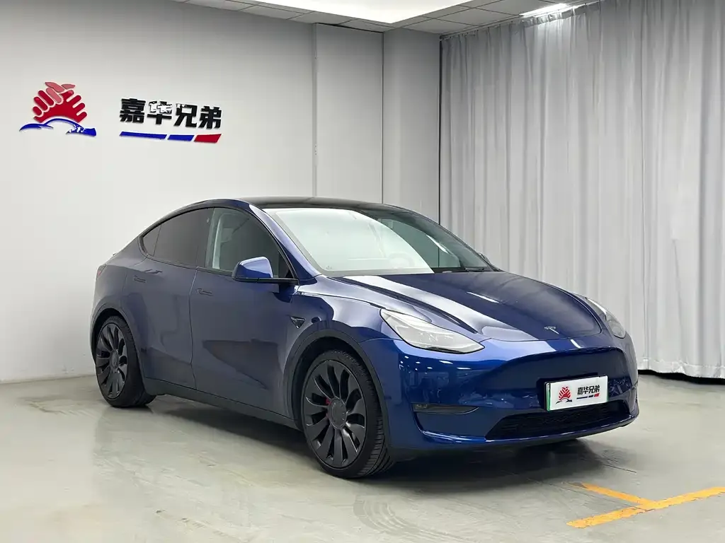 Tesla Model Y — фото 6