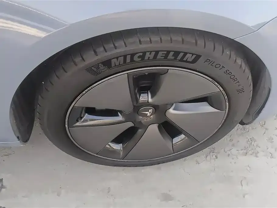 Tesla Model 3 2021 из CN, фото 6