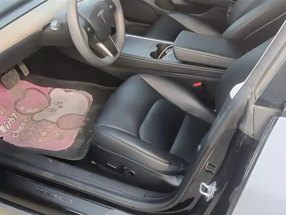 Tesla Model 3 2021 из CN, фото 7