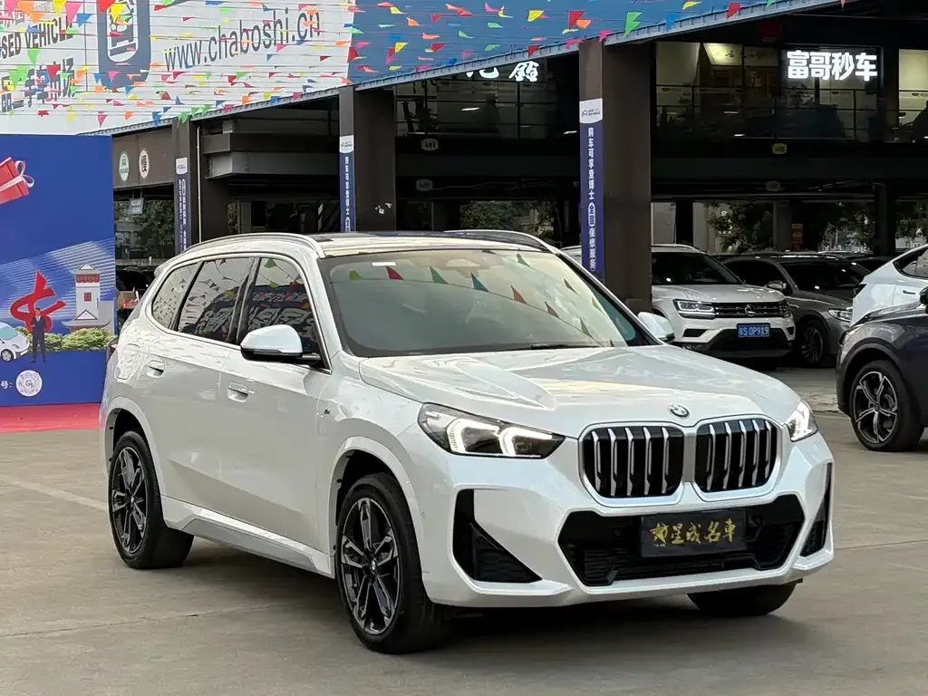BMW X1 — фото 10